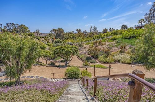 3637 Dove Holw Rd, Encinitas CA 92024-7248 exterior