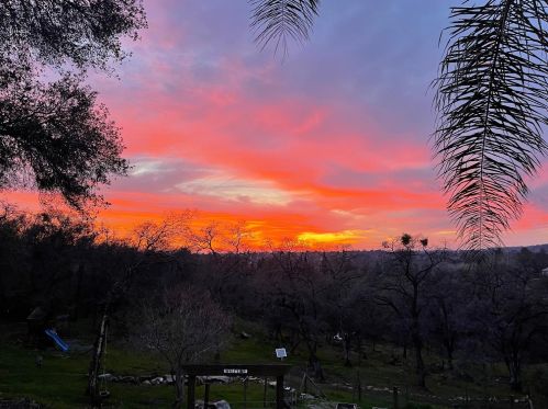 1290 Kellogg St, Newcastle CA  95658-9701 exterior