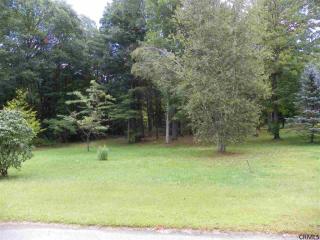 12 Tracy Dr, Thomson, NY 12834-3321
