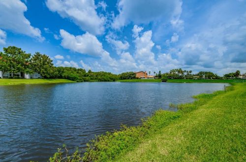 1640 Arabian Ln, Palm Harbor, FL 34685-3340