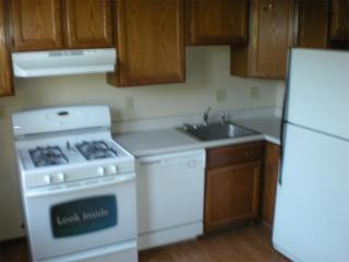 334 4th Ave, South Saint Paul MN  55075-2616 exterior