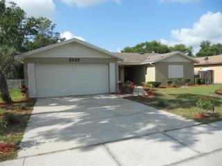 2029 Derbywood Dr, Brandon, FL 33510-2213