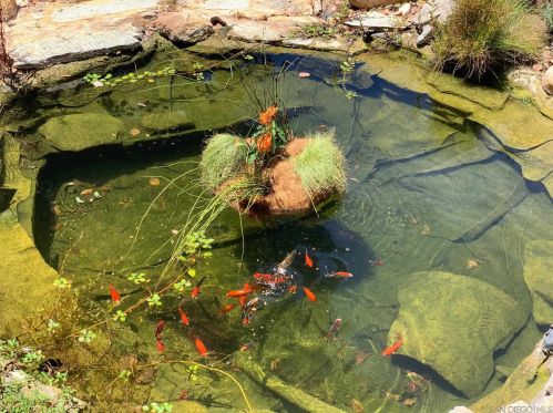 2435 Deland Dr, Alpine CA  91901-3192 exterior