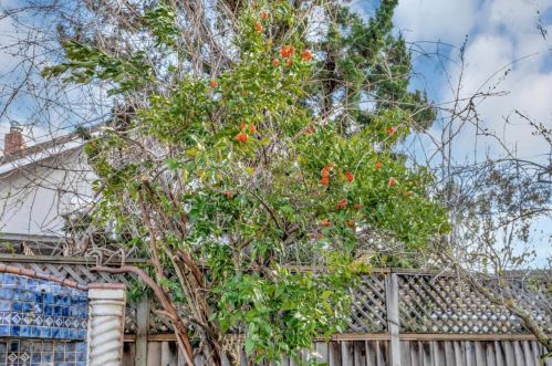 1066 Cross Springs Ct, San Jose CA  95120-1516 exterior