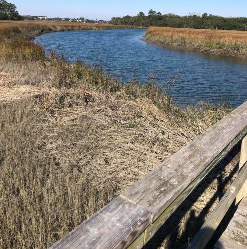 116 Slipper Shell Ct, Mount Pleasant SC  29464-6724 exterior