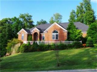 193 Polo Ct, Blountville, TN 37617-4563