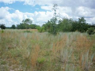6224 Cul De Sac Rd, Arcadia, FL 34266