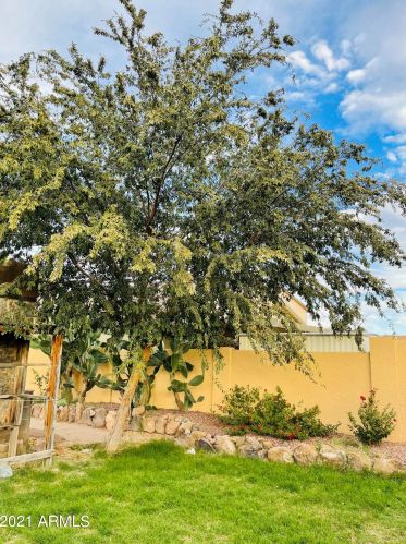 1747 Dust Devil Dr, San Tan Valley AZ 85143-4437 exterior