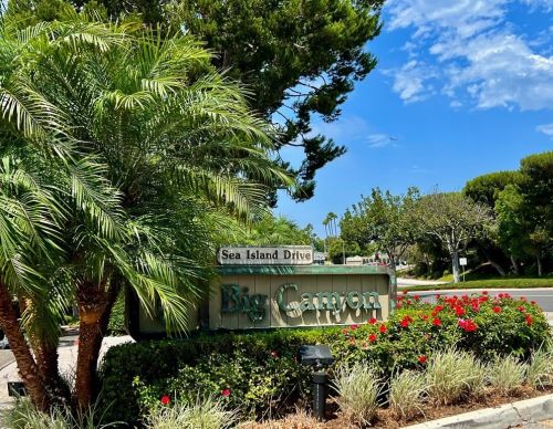 48 Sea Island Dr, Newport Beach, CA 92660-5135