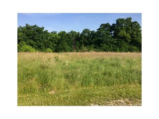 13427 Meadow Rdg, Fayetteville, AR 72704-8676