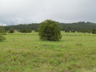 10192 Packsaddle Rd, Warm Lake, ID 83611-5405