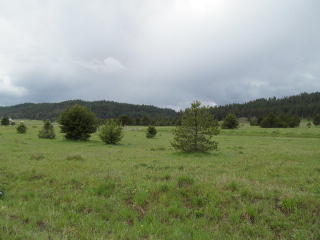 10202 Packsaddle Rd, Warm Lake, ID 83611