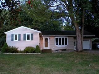 104 Evergreen Dr, Lodi, OH 44254-1438