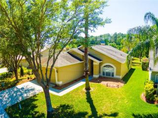 12957 Royal George Ave, Odessa, FL 33556-5710