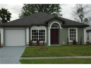 7319 R J Cove Ct, Orlando, FL 32822-7207