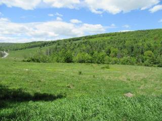 819 Brooker Hollow Rd, Richmondville, NY 12149-4105