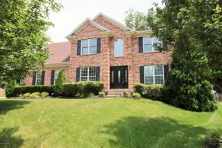 3903 Forest Trace Ct, Louisville, KY 40245-7493