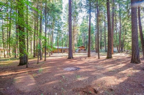 6476 Tikker Ln, Nimshew CA  95954-9322 exterior