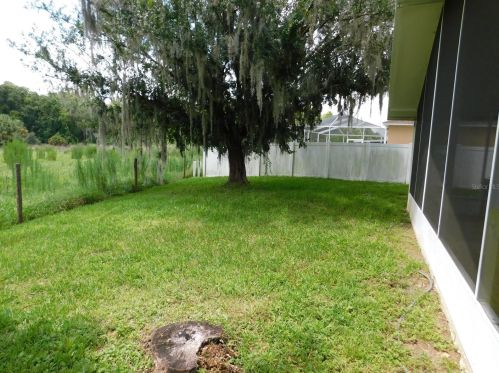 3541 Golden Eagle Dr, Land O Lakes FL  34639-9551 exterior