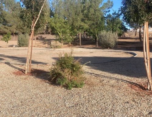 9985 Appleton St, Victorville CA  92392-1967 exterior