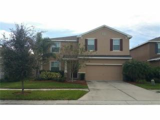 313 Corbett Bluff Dr, Ruskin, FL 33570-5363