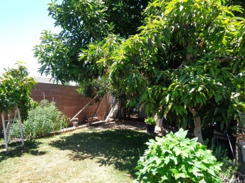 4435 Roosevelt St, Chino CA  91710-3225 exterior