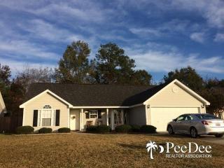 2116 Tillers Plow Row, Effingham, SC 29541-4928