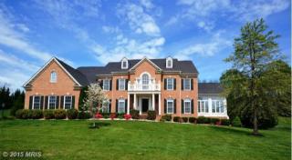 10686 Water Falls Ln, Vienna, VA 22182-1301
