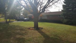 4911 Bosart Rd, Springfield, OH 45503-6532