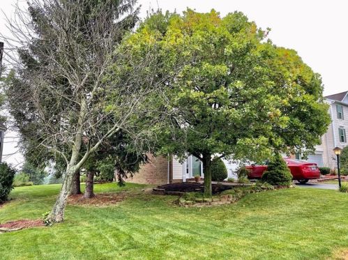 80 Links Dr, New Castle, PA 16101-6270