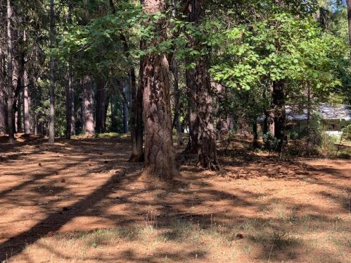 11119 Glen Meadow Dr, Grass Valley, CA 95945-6925