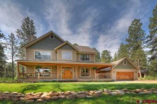 89 Conestoga Way, Breen, CO 81326-8800
