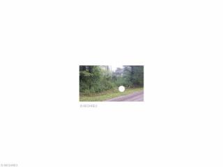 17150 Moseley Rd, Thompson, OH 44086-8704