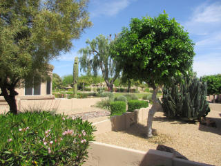 8510 Oraibi Dr, Peoria, AZ 85382-8826