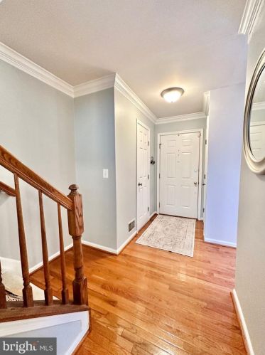 6527 Castine Ln, Springfield VA  22150-4278 exterior