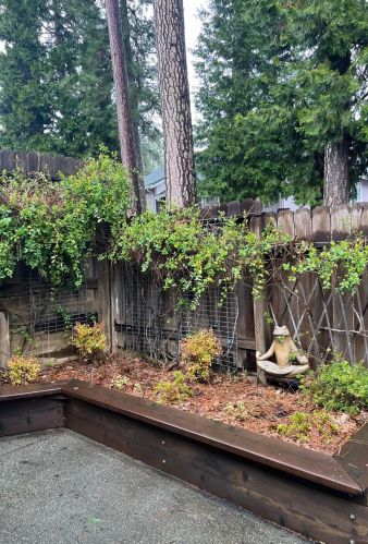 126 Windsor Ln, Grass Valley CA  95949-9564 exterior