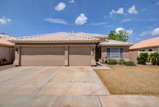 21918 66th Ln, Glendale, AZ 85310-5702