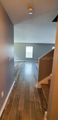 19340 Timberbluff Dr, Land O Lakes FL  34638-2585 exterior