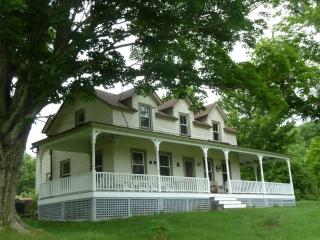 78 Buddenhagen Rd, Callicoon, NY 12723-5702