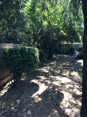 10165 La Gloria Way, Rancho Cordova CA  95670-3163 exterior