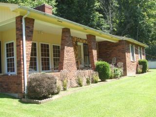 425 Jones Frk, Davella, KY 41214-8922