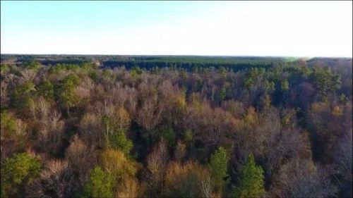 00-00 White Sulphur Springs Rd, Nebo, LA 71342