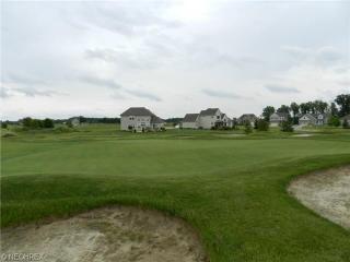 847 Buckingham Dr, Lagrange, OH 44050-8923