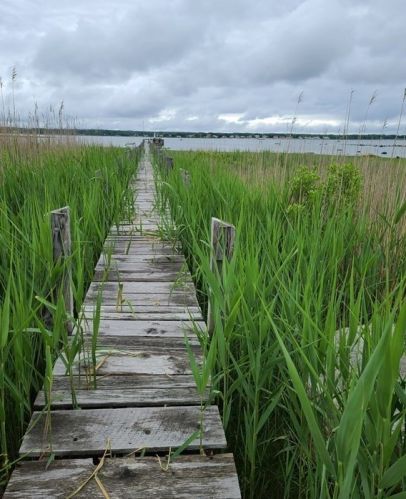 89 Converse Rd, Marion, MA 02738-1719