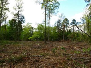 31 Us Highway 190, Woodville, TX 75979-9714