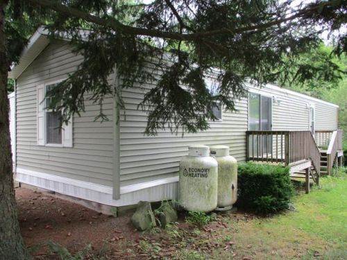 45 Maple St, Harpursville, NY 13787-1934
