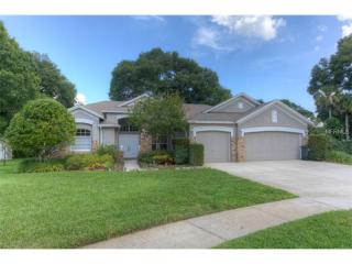 17606 Hackamore Pl, Lutz, FL 33549-5684