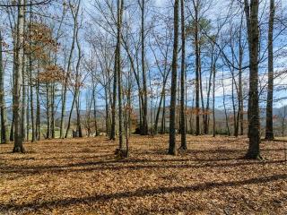 54 Bradford Vis, Fletcher, NC 28732-8544