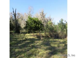 12850 47th Ave, Belleview, FL 34420-5013