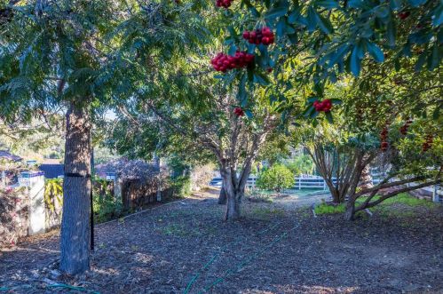 11382 Crazy Horse Dr, Lakeside CA 92040-1205 exterior